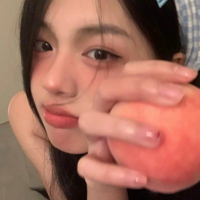 大象与小蝶物语